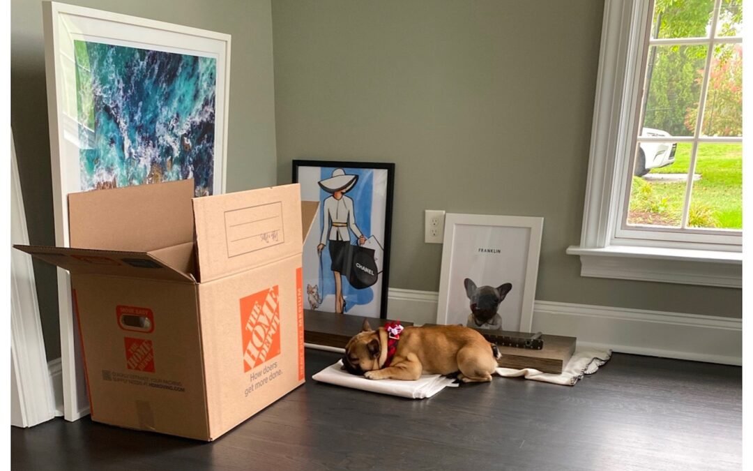 The Moving Process: What I did to Make my Move Easier